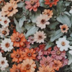 Meet your Posher, Madelyn